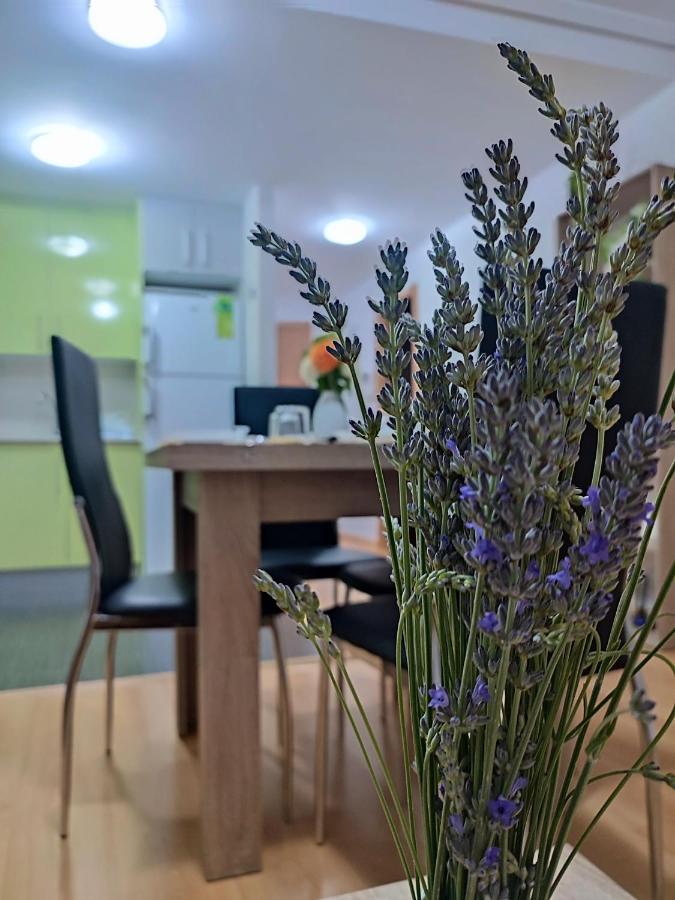 Estrella De Appartement Teruel